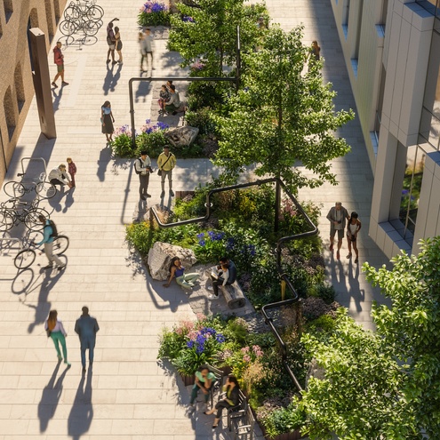 Roots in the Sky Garden at Price’s Street, Southwark – Fabrix with Harris Bugg Studio and Mcmullan Studio