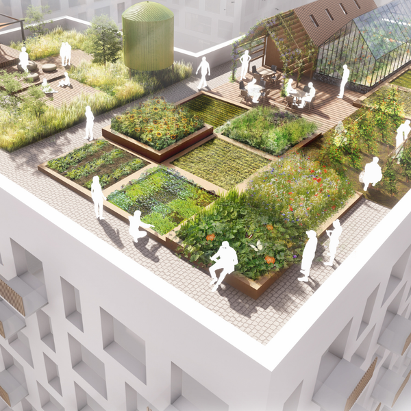 Health Innovation Neighbourhood 3