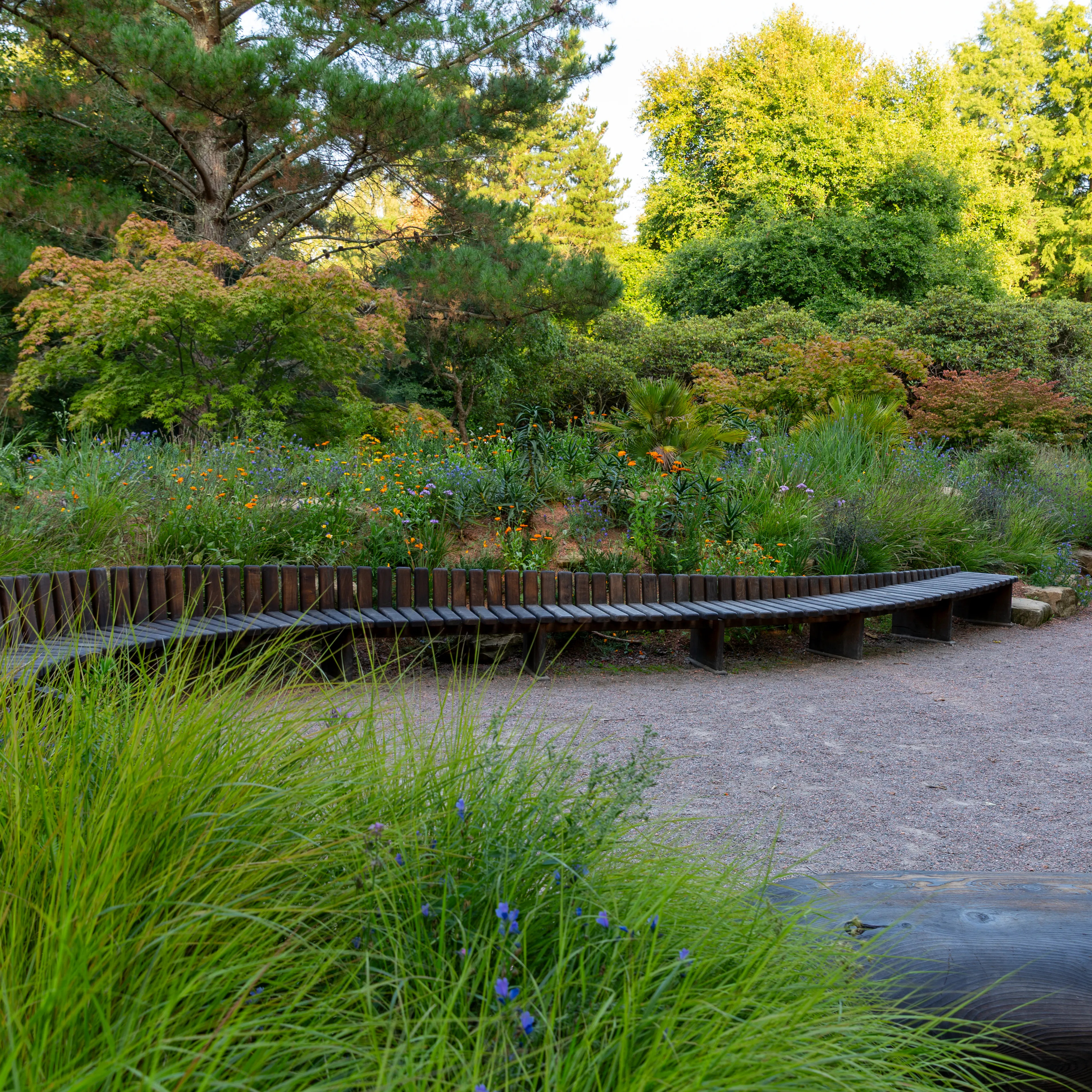 Garden for the Future, East Sussex for The National Trust with Joe Perkins, The Landscaping Consultants, Oli Carter Adventurous Joinery and Kelways Plants